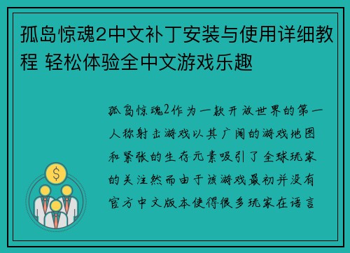 孤岛惊魂2中文补丁安装与使用详细教程 轻松体验全中文游戏乐趣