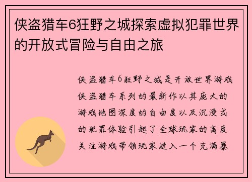 侠盗猎车6狂野之城探索虚拟犯罪世界的开放式冒险与自由之旅